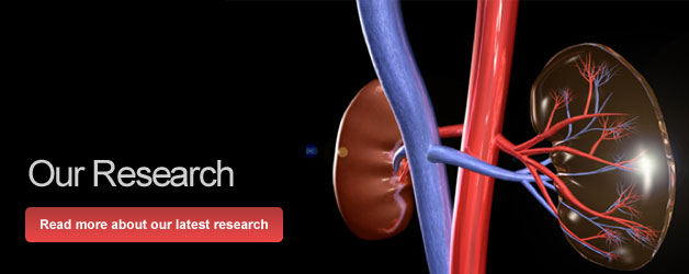 Our Research
